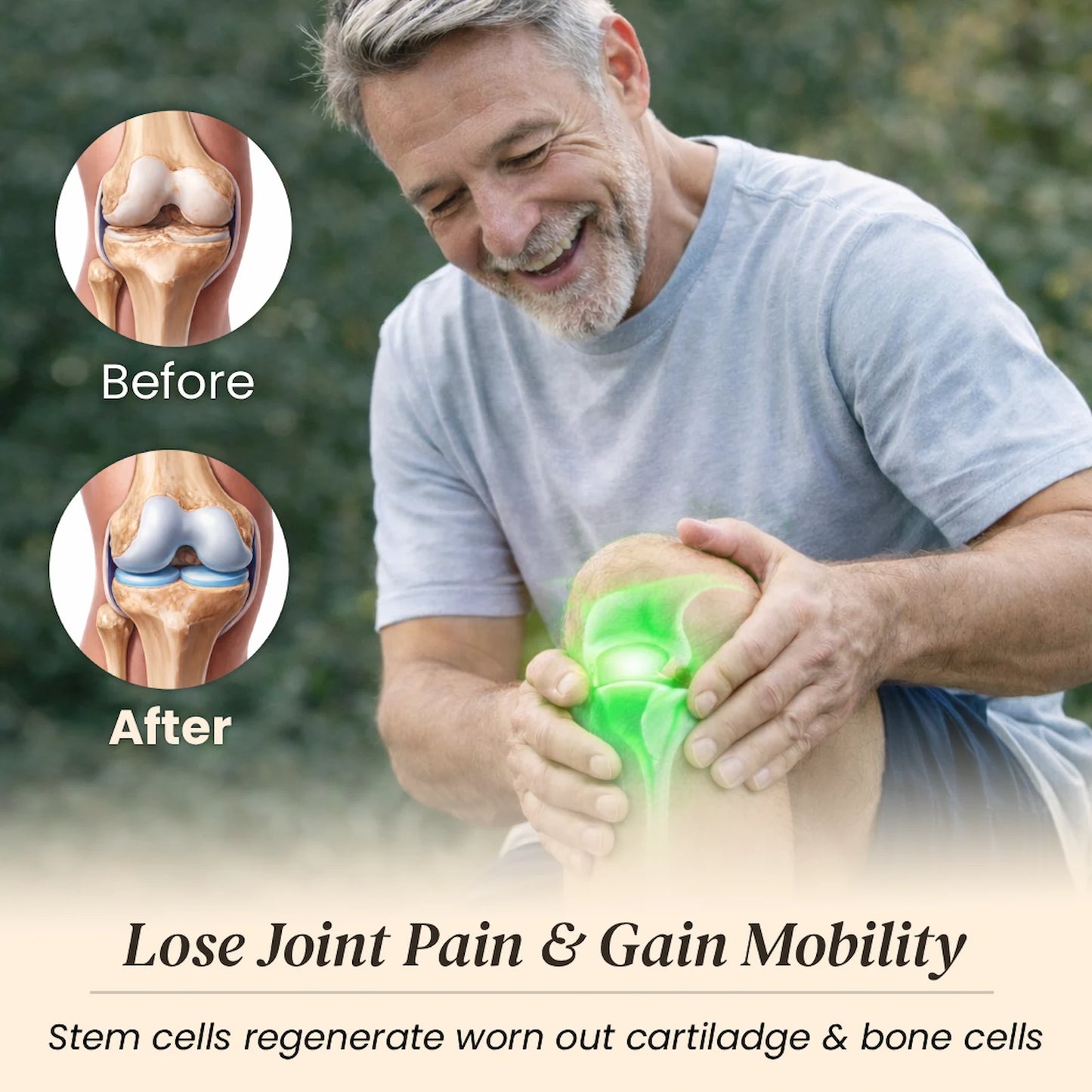 High Flavanols & Flavonoids Cocoa Powder 1200MG